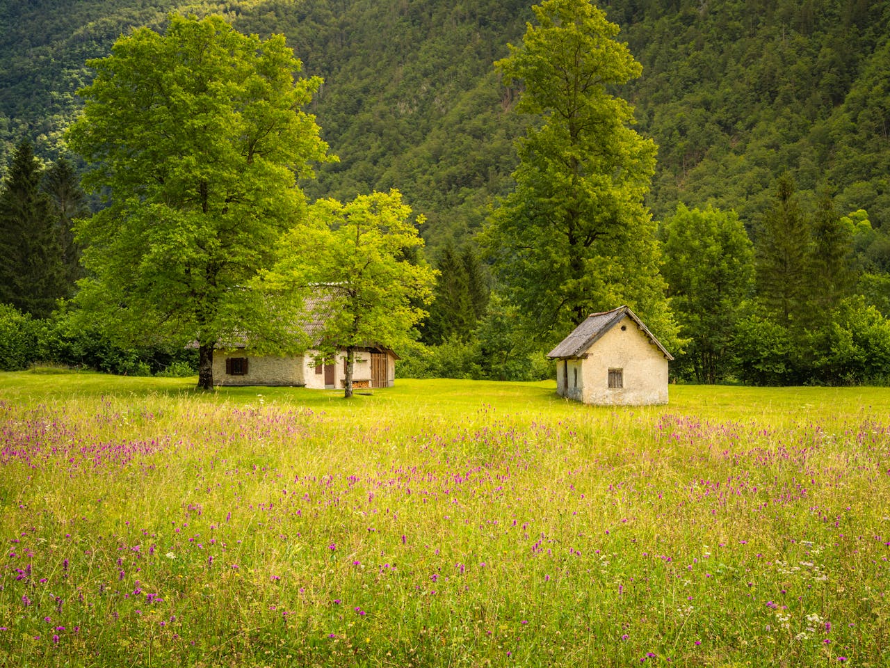 View on a farm in Voje valley, close to Mostnica Gorge. Slovenia.