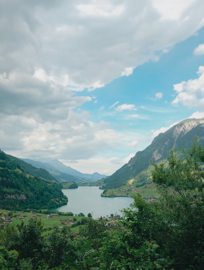 A lake surrounded by mountains and trees